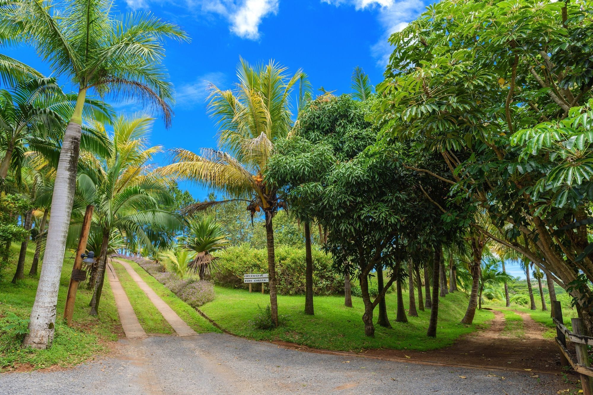 La Vieille Cheminee Chamarel Exterior foto